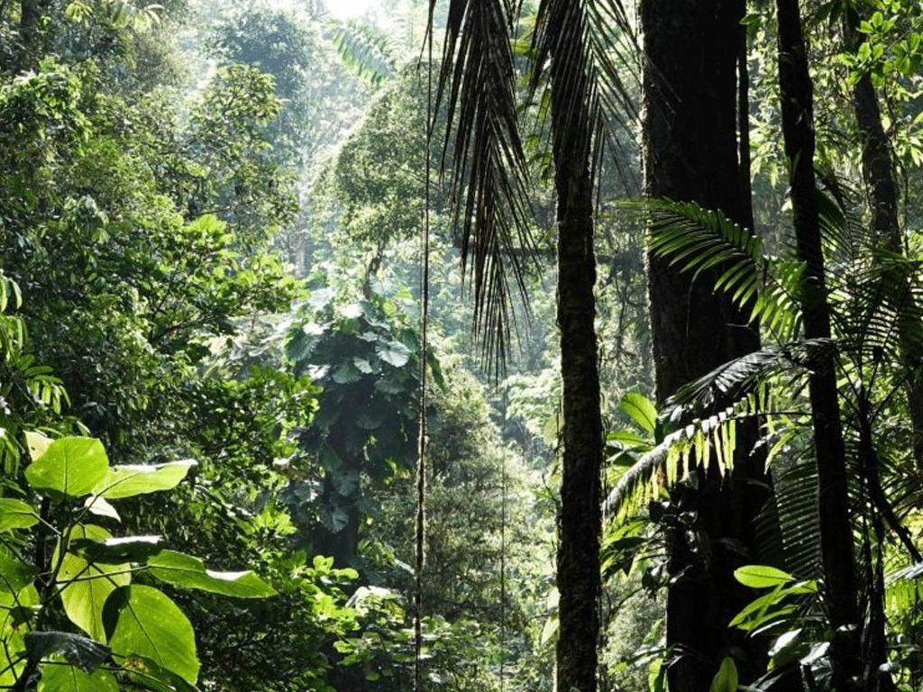 Togo: Le pays obtient un financement de 14,7 milliards FCFA pour renforcer sa stratégie environnementale