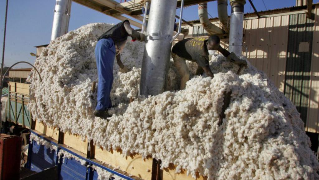 Mali : Une nouvelle usine d’égrenage de coton pour dynamiser les zones rurales