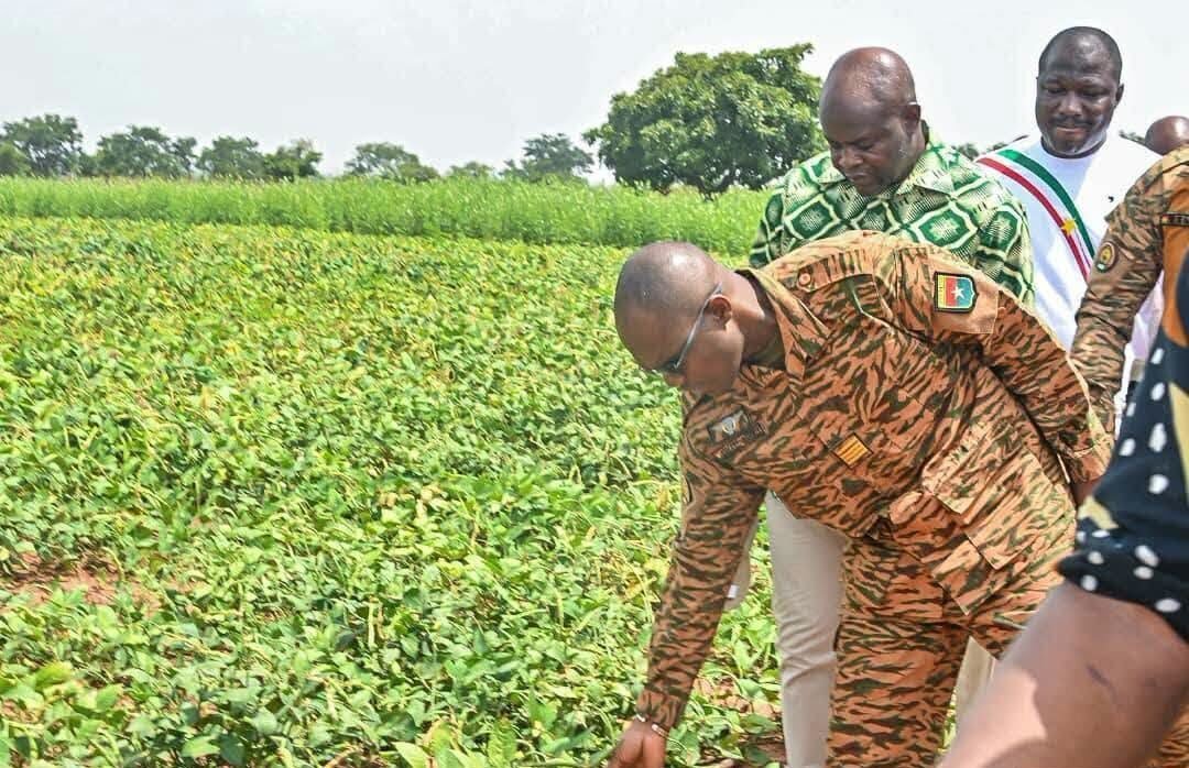 Bobo-Dioulasso : Le ministre Ismaël Sombié inspecte la ferme Yere Ta et prometteuse une dynamique agricole